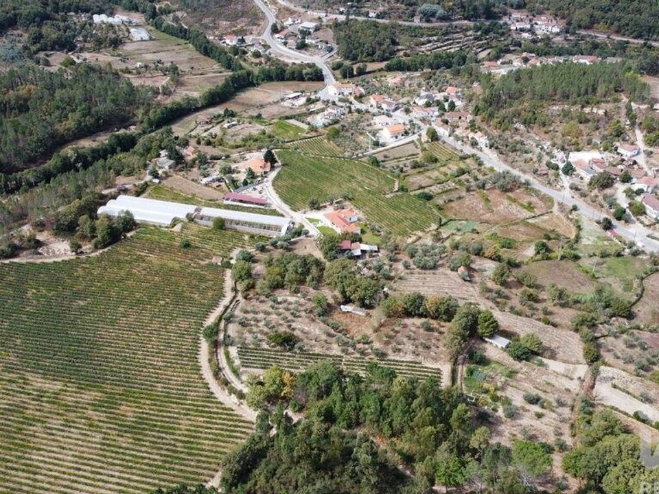 Działka: Penalva do Castelo, Viseu – zdjęcie 3