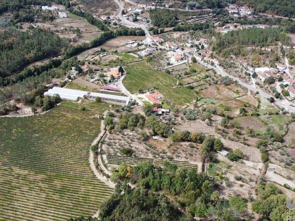 Działka: Penalva do Castelo, Viseu – zdjęcie 4