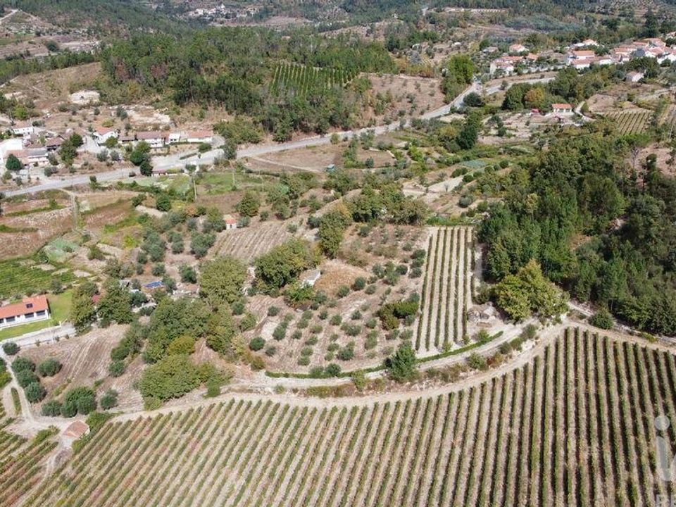 Działka: Penalva do Castelo, Viseu – zdjęcie 5