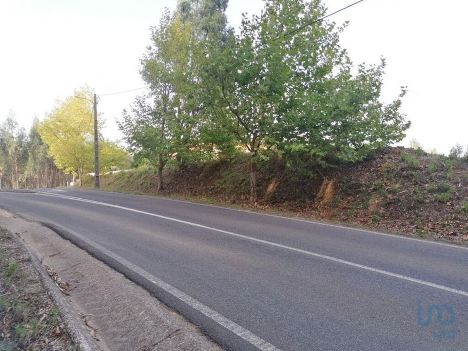 Helårsgrund i Rio Maior, Santarem - foto 4