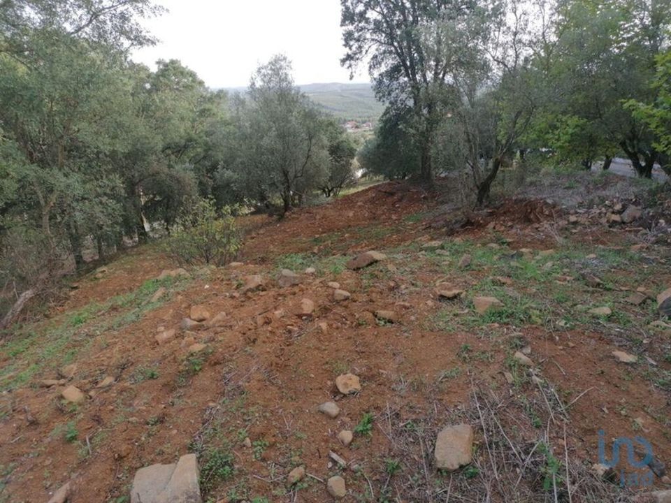 Helårsgrund i Rio Maior, Santarem - foto 5
