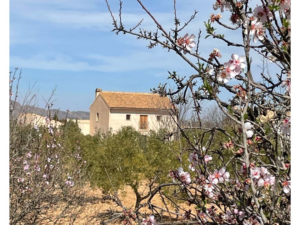 Herregård i Raspay, Murcia - bilde 3