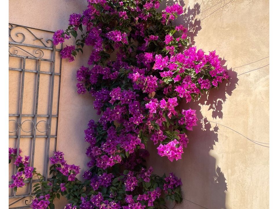 Herregård i Raspay, Murcia - bilde 5