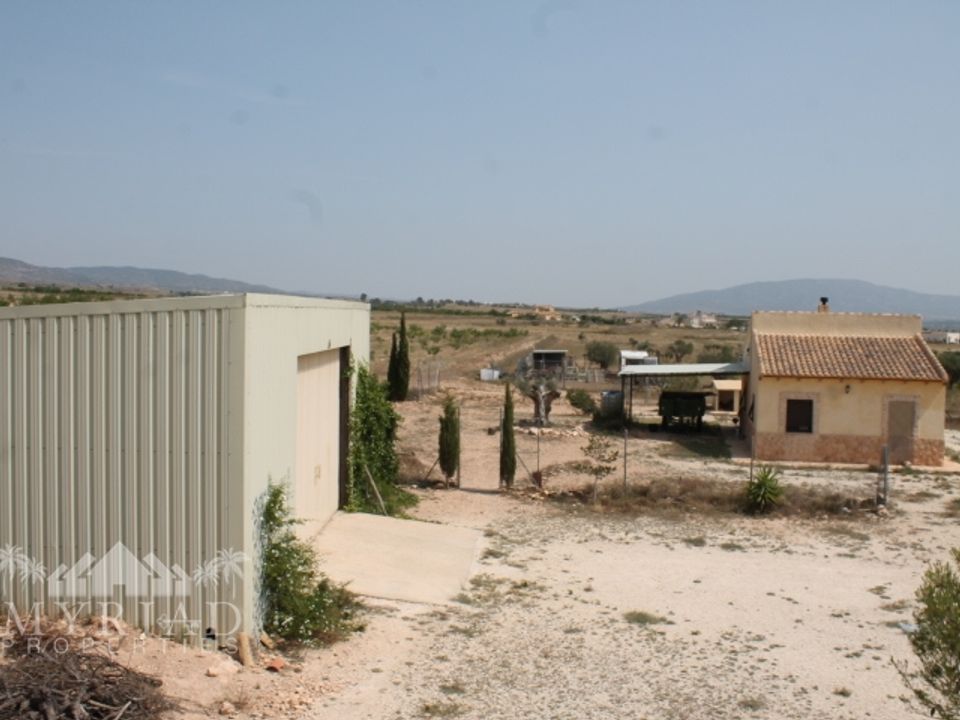Landejendom i Pinoso, Alicante - foto 3
