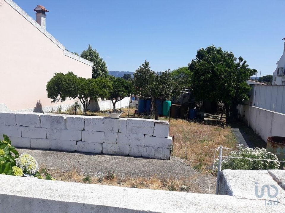 Helårsgrund i Portalegre, Portalegre - foto 5