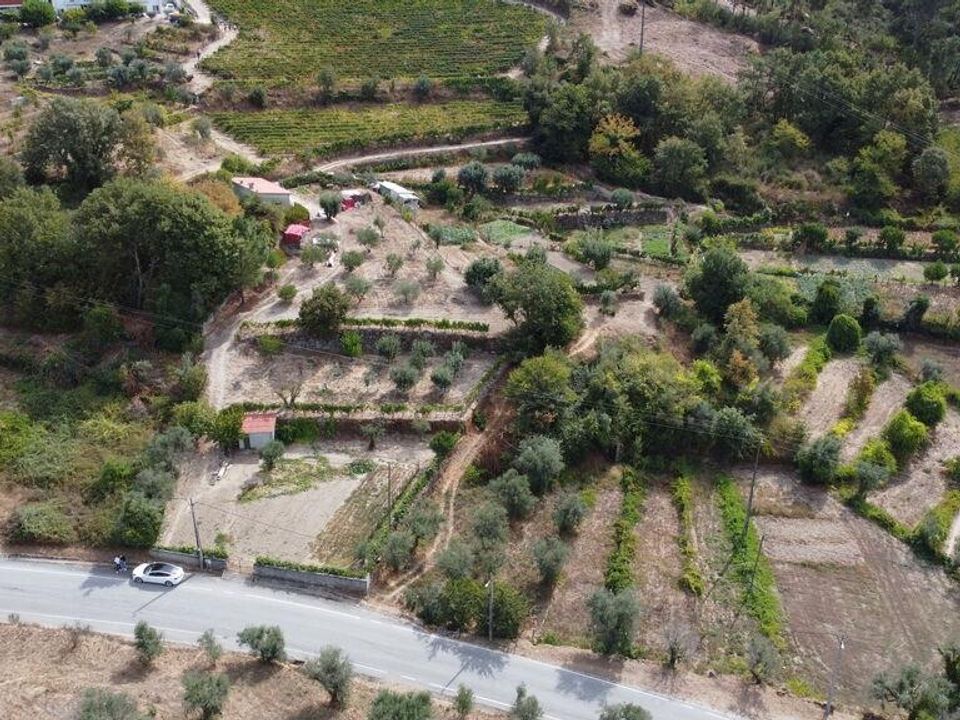 Helårsgrund i Penalva do Castelo, Viseu - foto 3