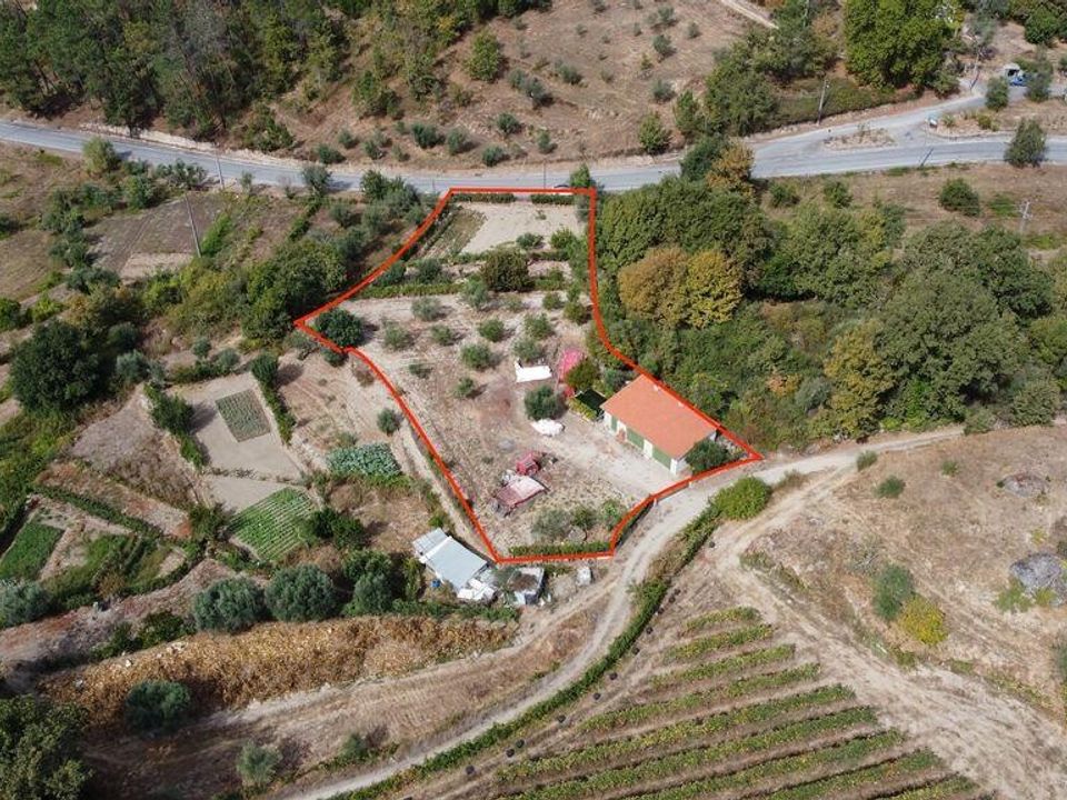Helårsgrund i Penalva do Castelo, Viseu - foto 5