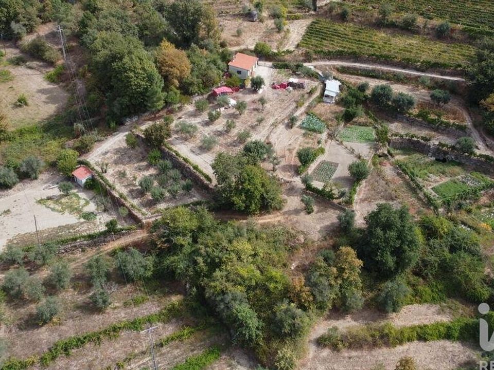 Działka: Penalva do Castelo, Viseu – zdjęcie 4