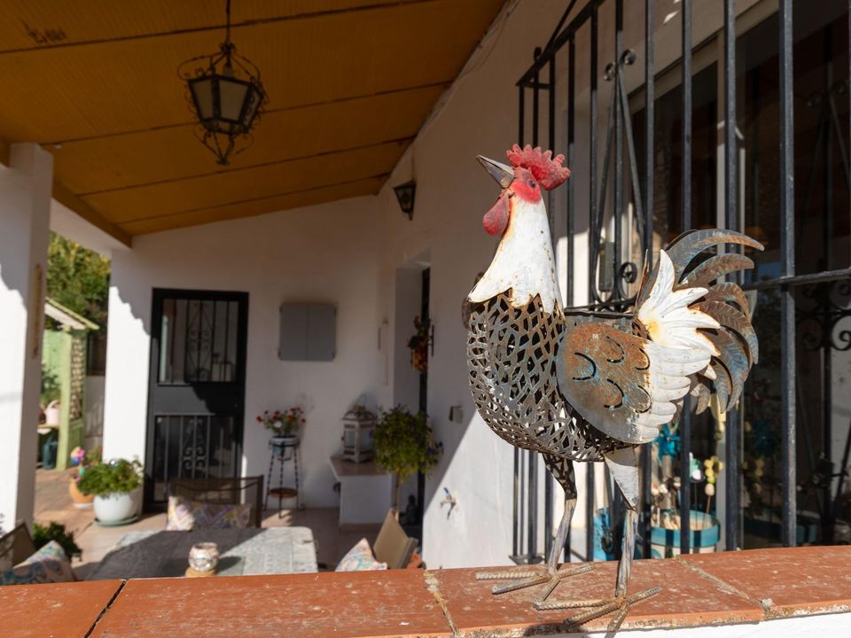Landejendom i Villanueva Del Trabuco, Malaga - foto 4