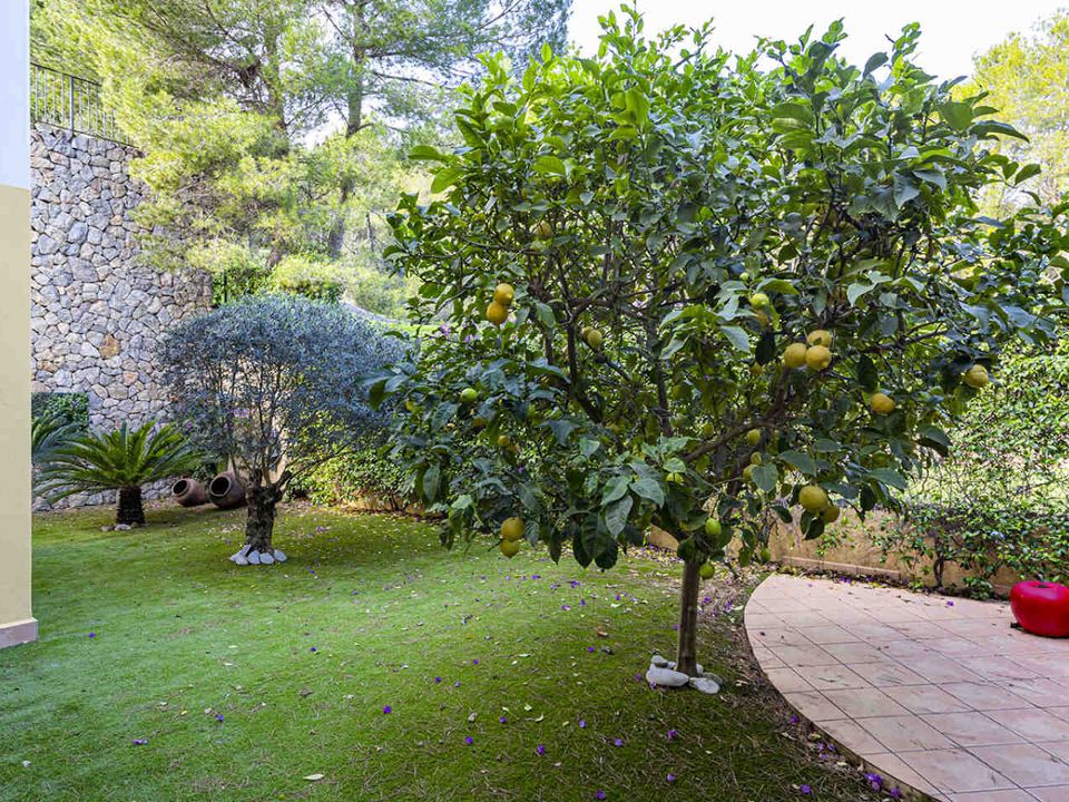 Villa i El Camp De Mar, Mallorca - foto 3