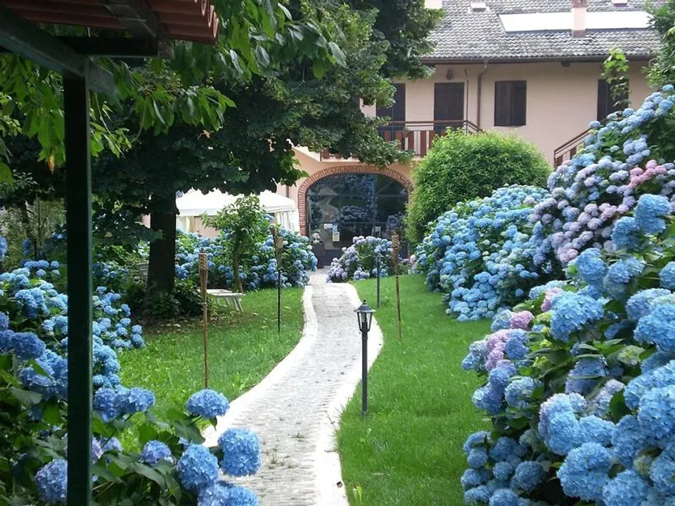 Villa i Roccaforte Mondovi, Cuneo - foto 1