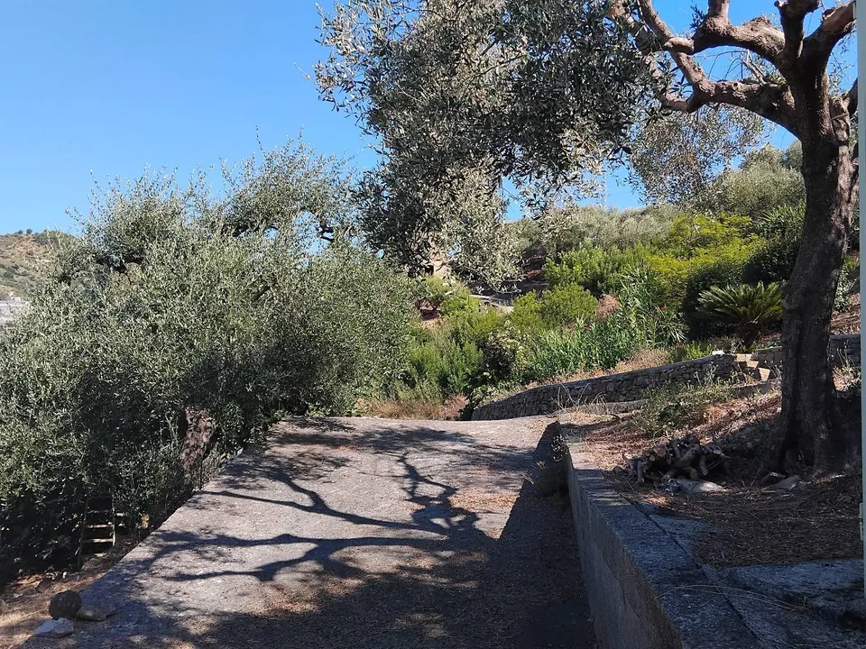Helårsgrund i San Biagio della Cima, Imperia - foto 2