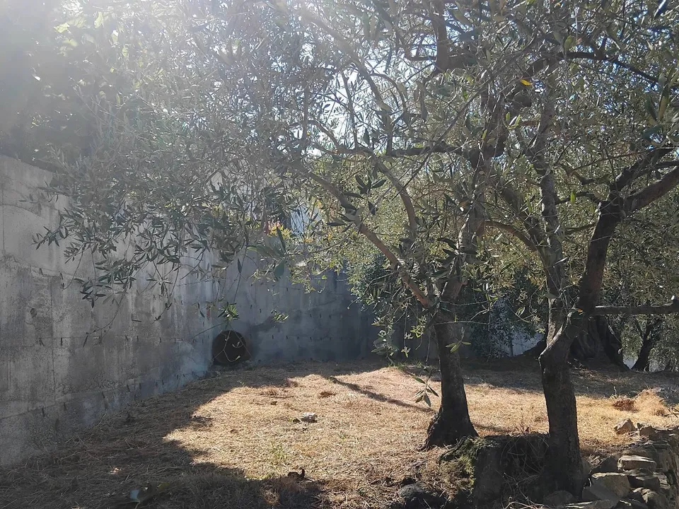 Helårsgrund i San Biagio della Cima, Imperia - foto 3