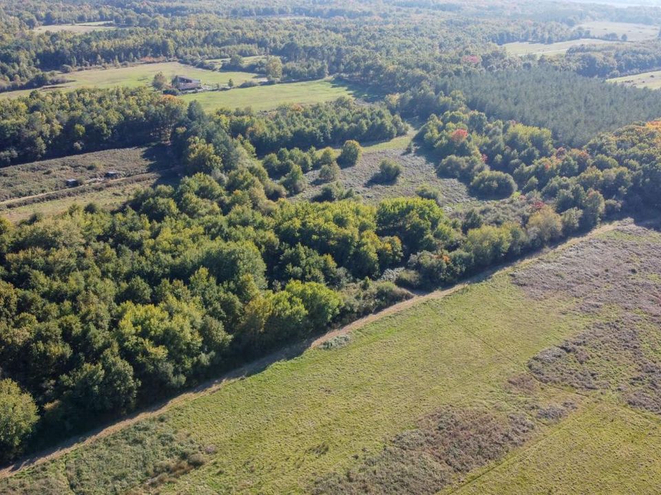 Helårsgrund i Langon, Loir-et-Cher - foto 2