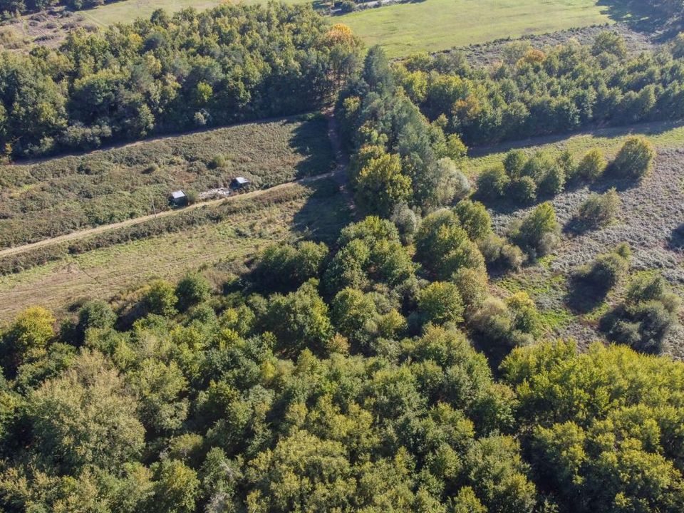 Helårsgrund i Langon, Loir-et-Cher - foto 5