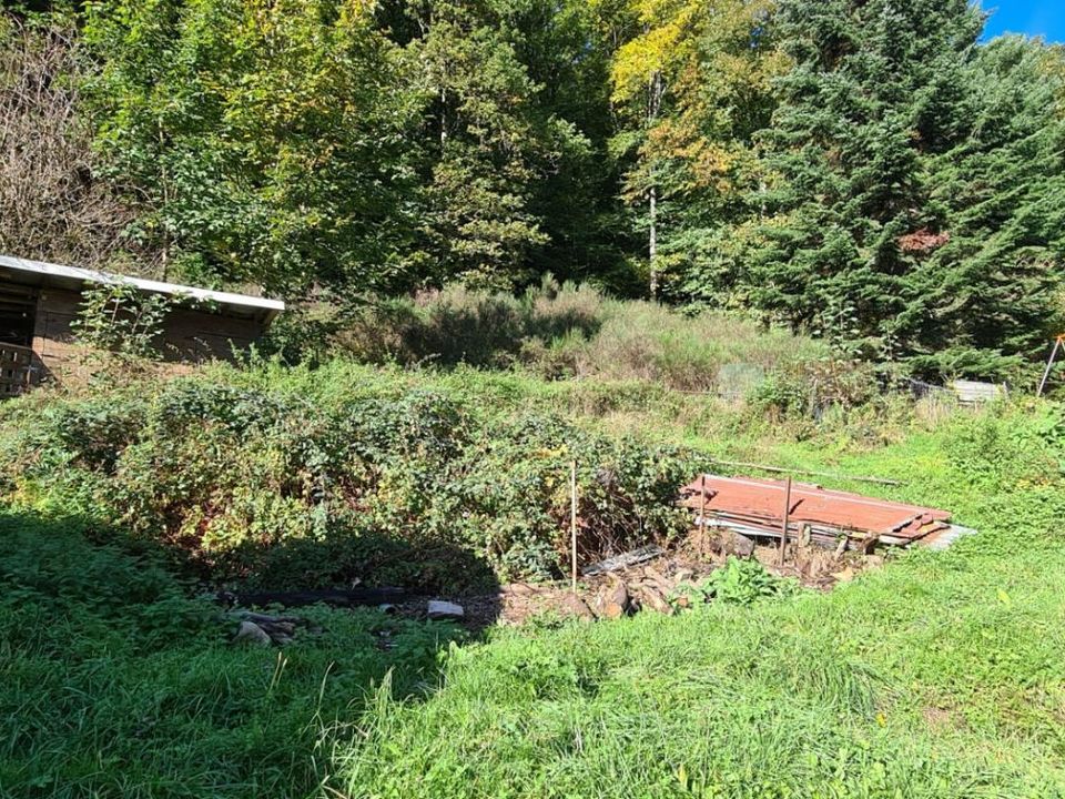 Villa i Vescemont, Territoire de Belfort - foto 4