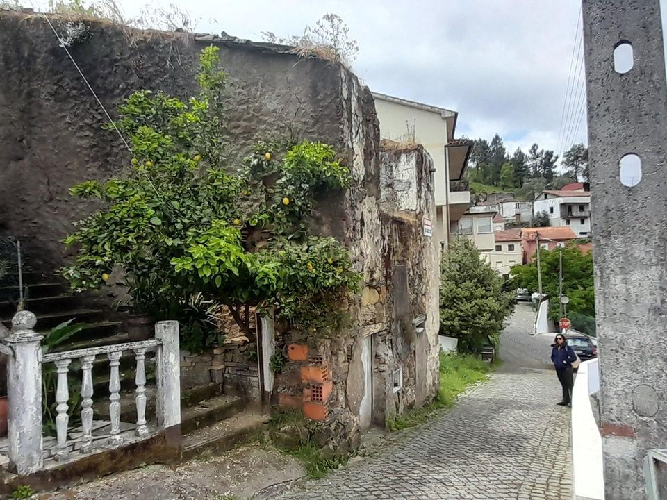 Villa i Pampilhosa da serra, Coimbra - bilde 5