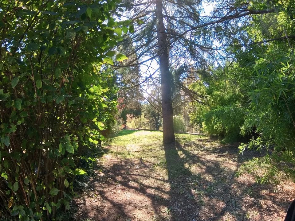 Villa i Rignano Flaminio, Rome - foto 4