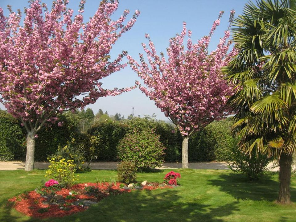Villa i Cleguerec, Morbihan - foto 4