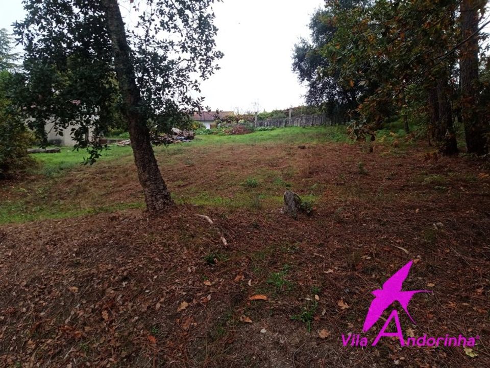 Helårsgrund i Valenca, Viana do Castelo - foto 4