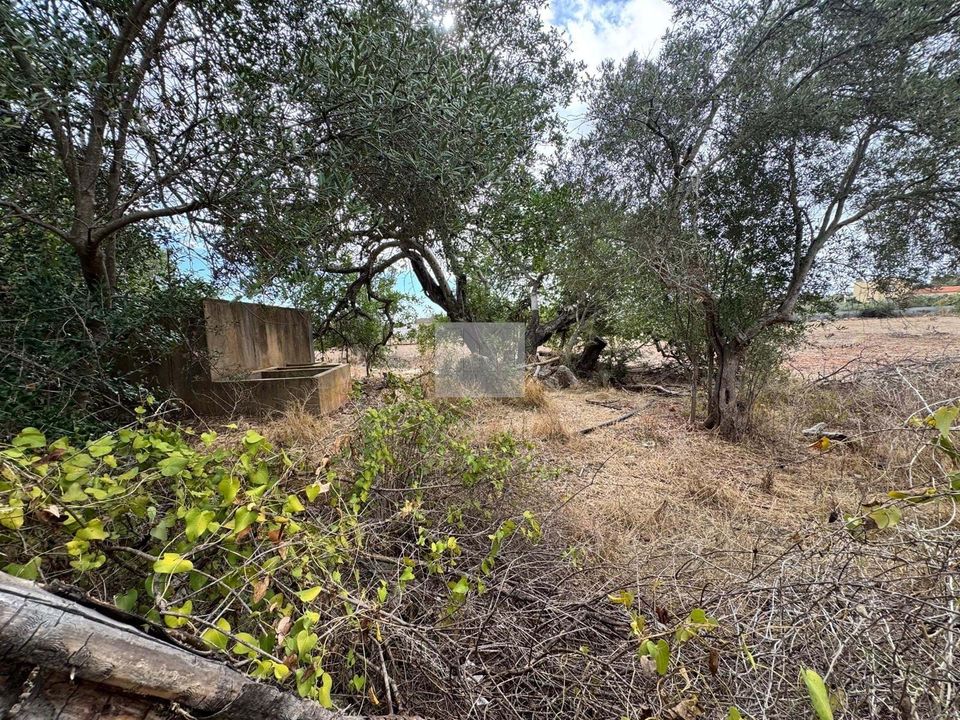 Helårsgrund i Santa Barbara de Nexe, Faro - foto 3