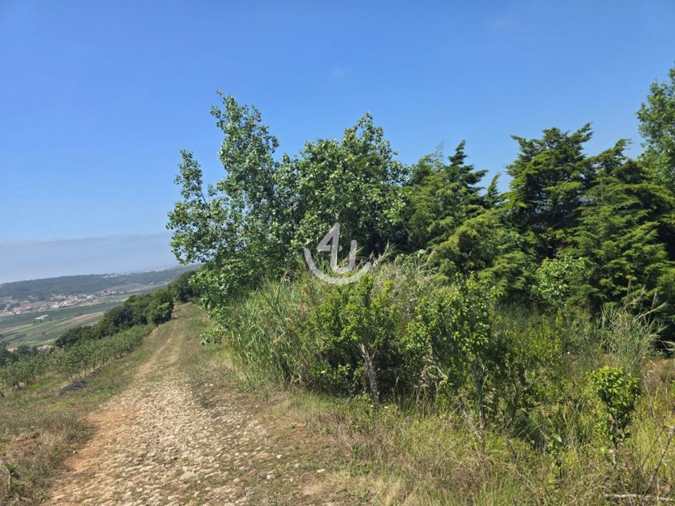 Helårsgrund i Alcobaca, Leiria - foto 2