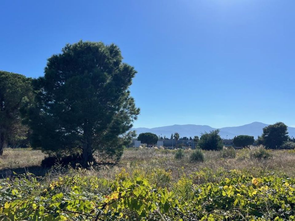Helårsgrund i Latour-Bas-Elne, Pyrenees-Orientales - foto 1