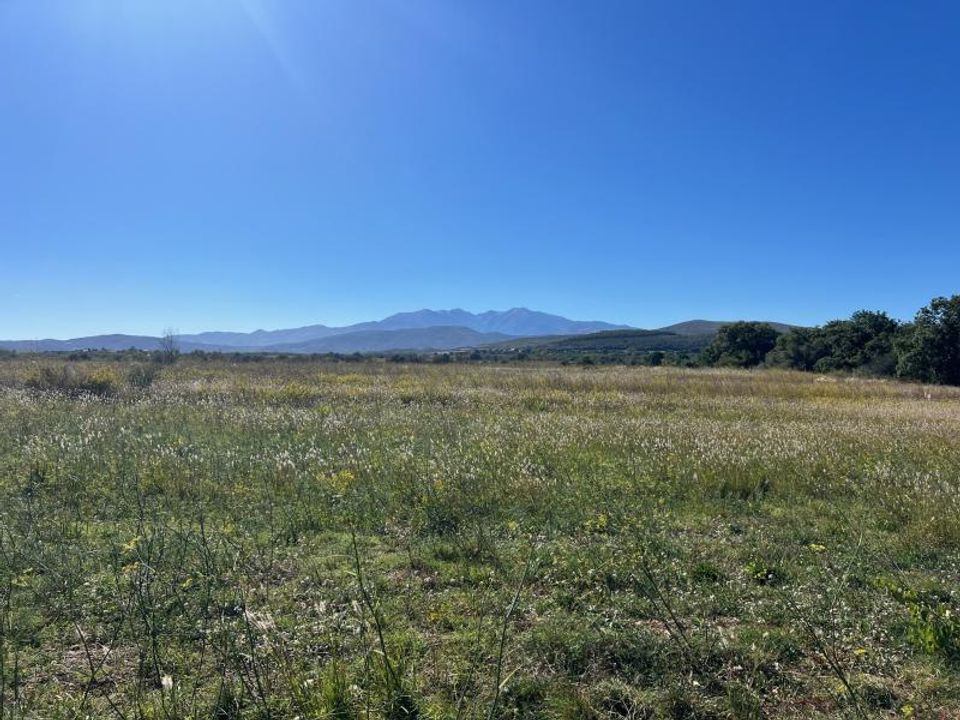 Helårsgrund i Llupia, Pyrenees-Orientales - foto 1