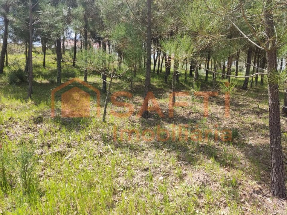 Helårsgrund i Casal de Cinza, Guarda - foto 2