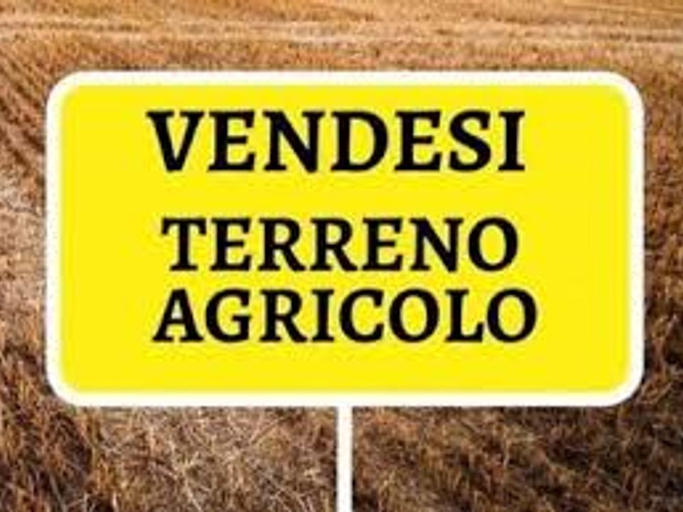 Helårsgrund i Piove di Sacco, Padua - foto 1