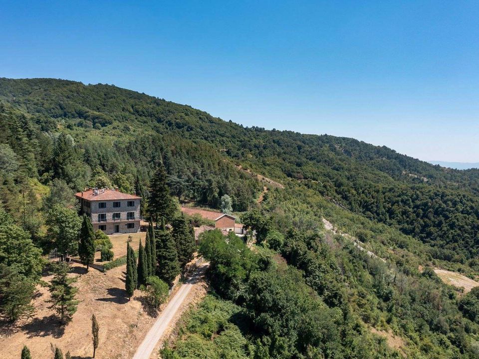 Villa i Borgo San Lorenzo, Florence - foto 3
