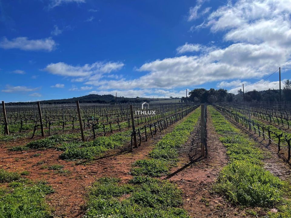 Farm hus i Estremoz, Evora - foto 1