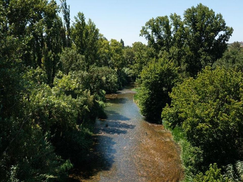 Byhus i Tomar, Santarem - foto 5