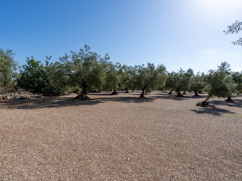 Finca i Ulldecona, Tarragona - foto 4