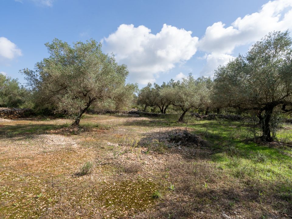 Finca i Godall, Tarragona - foto 4