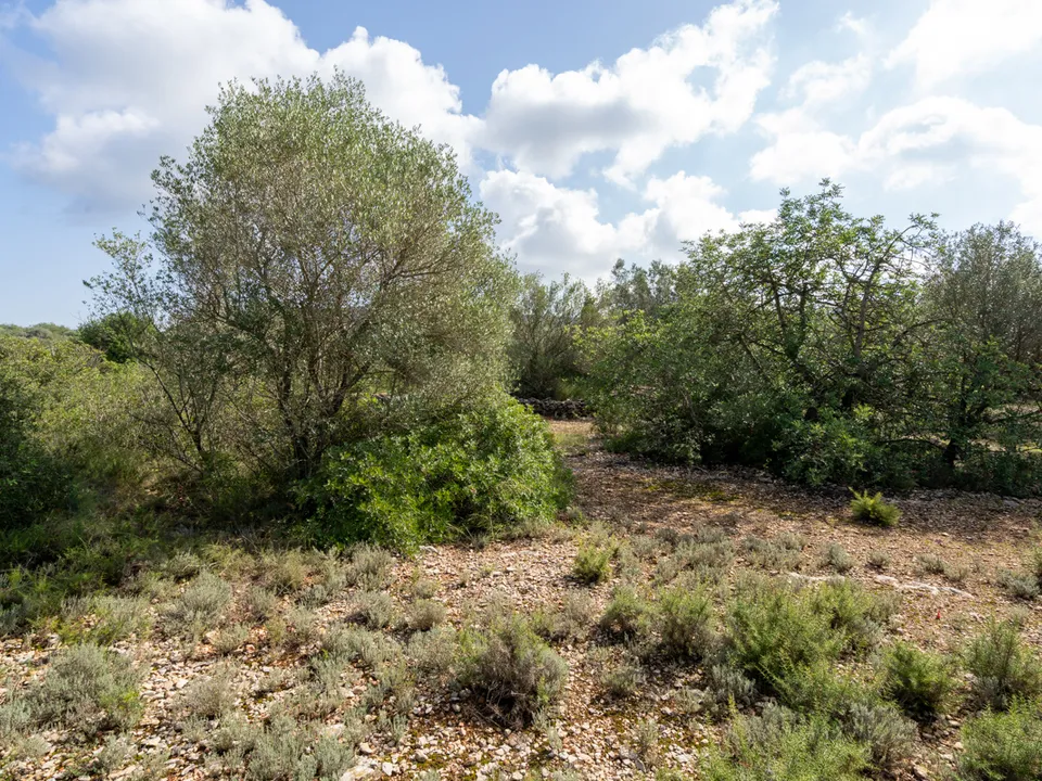 Finca i Godall, Tarragona - foto 2
