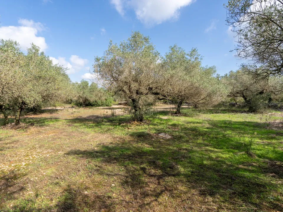 Finca i Godall, Tarragona - foto 1
