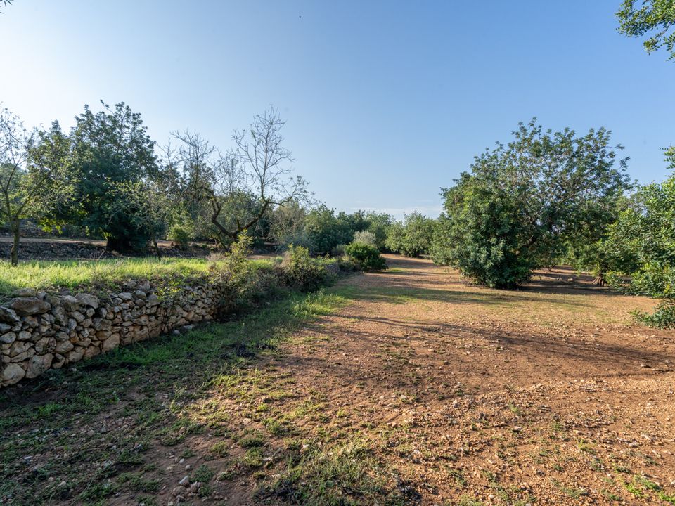 Finca i Godall, Tarragona - foto 1