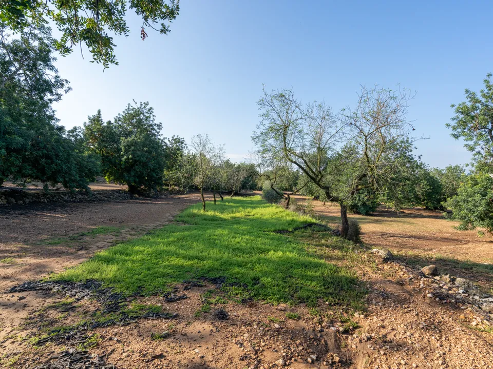 Finca i Godall, Tarragona - foto 2