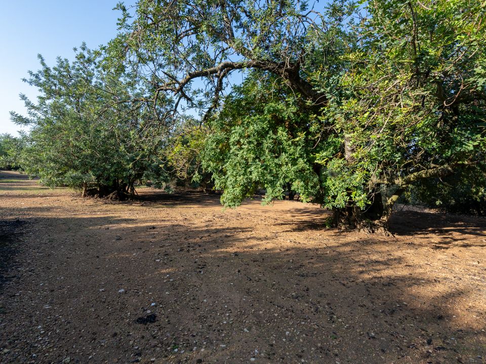 Finca i Godall, Tarragona - foto 4