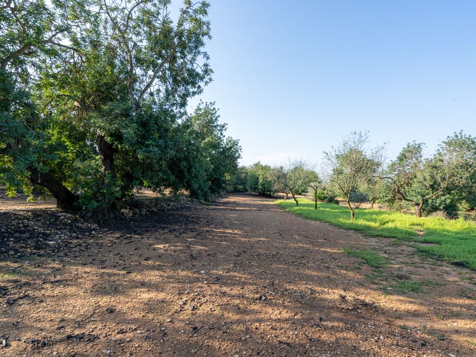 Finca i Godall, Tarragona - foto 3