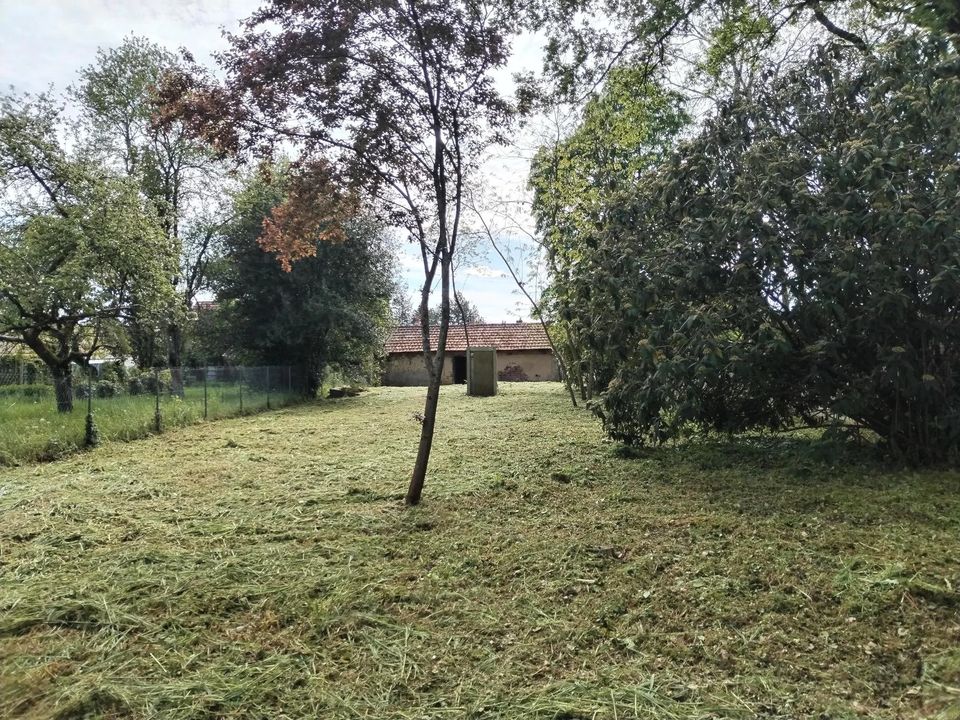 Villa i La Selle-sur-le-Bied, Loiret - foto 3