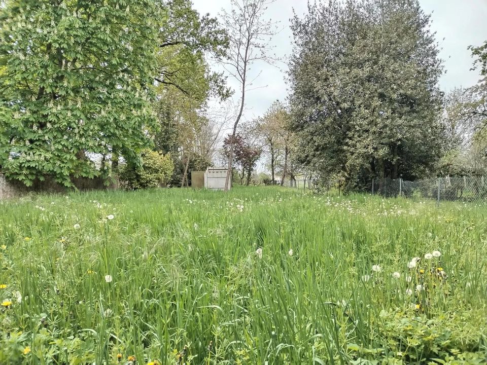 Villa i La Selle-sur-le-Bied, Loiret - foto 5