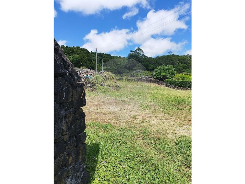 Helårsgrund i Candelaria, Pico - foto 2