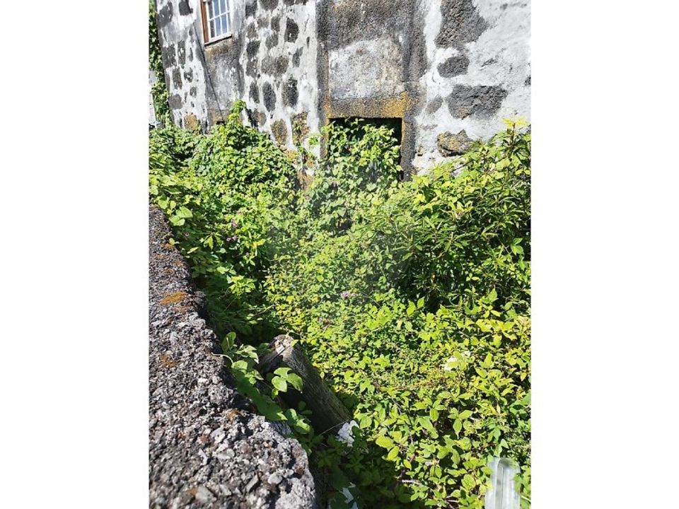 Helårsgrund i Candelaria, Pico - foto 4