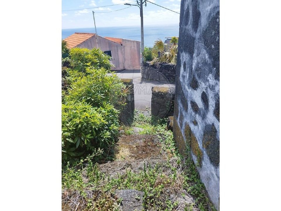 Helårsgrund i Candelaria, Pico - foto 5