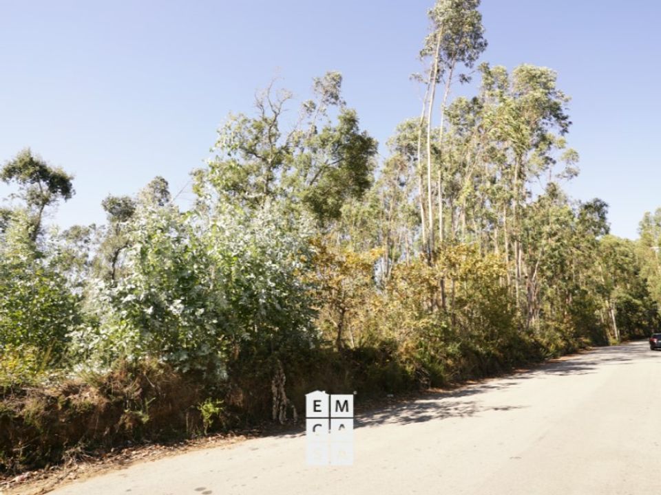 Helårsgrund i Oliveira de Azemeis, Aveiro - foto 3