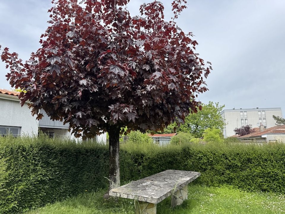 Villa i Barbezieux-Saint-Hilaire, Charente - foto 4
