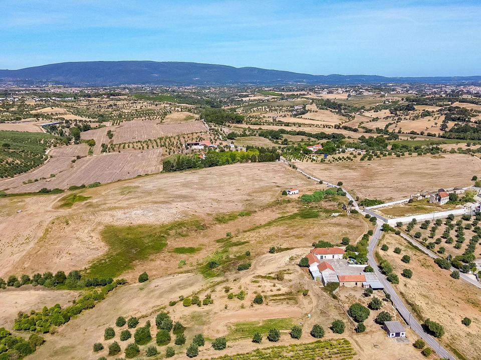 Helårsgrund i Torres Novas, Santarem - foto 3