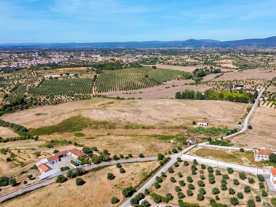 Helårsgrund i Torres Novas, Santarem - foto 4